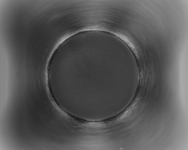 X0000094940998200711291349