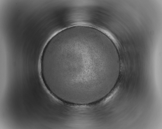 X0000094940999200711291349