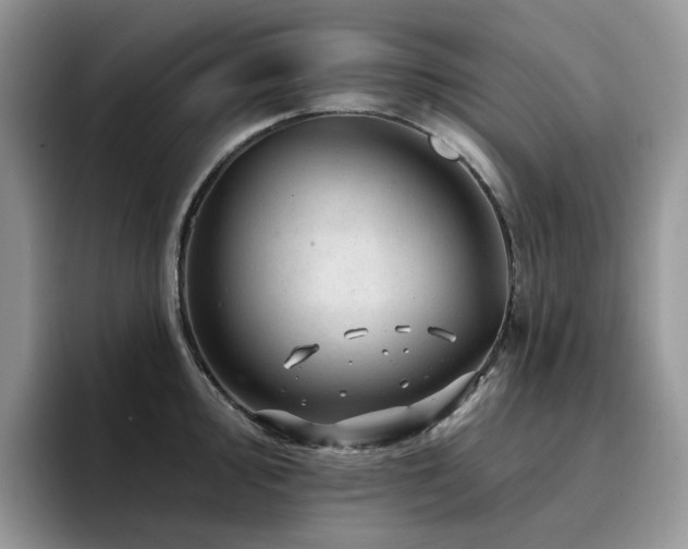 X0000094941000200711291349