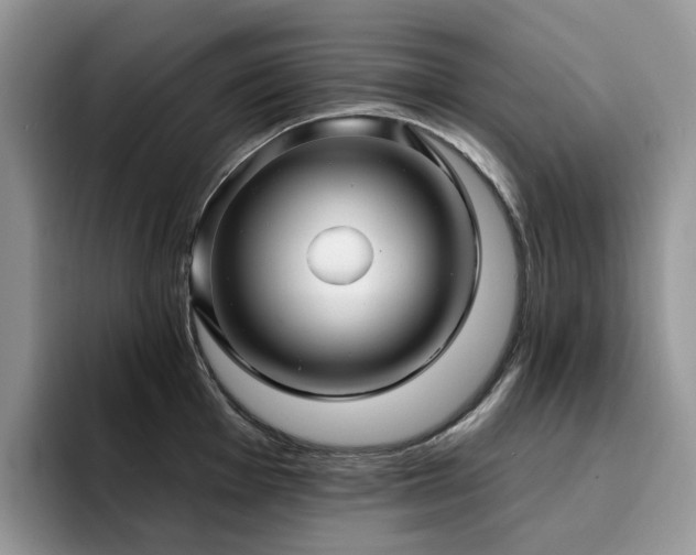 X0000094941001200711291349