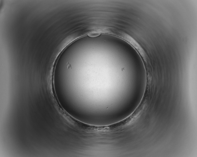 X0000094941002200711291349