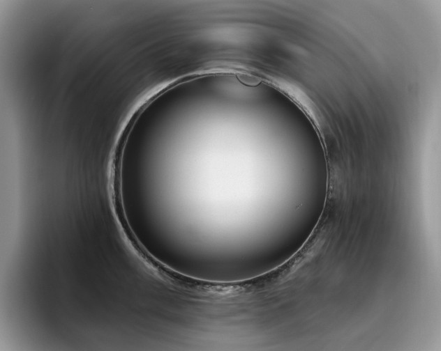 X0000094941003200711291349