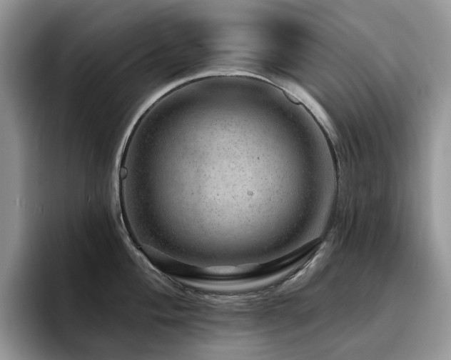 X0000094941004200711291349