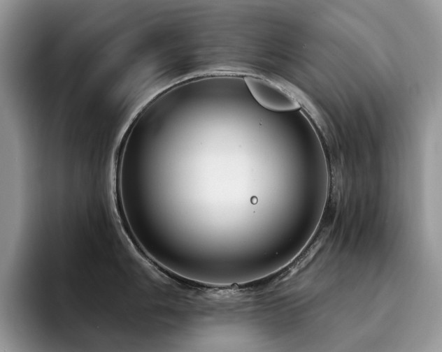 X0000094941006200711291349