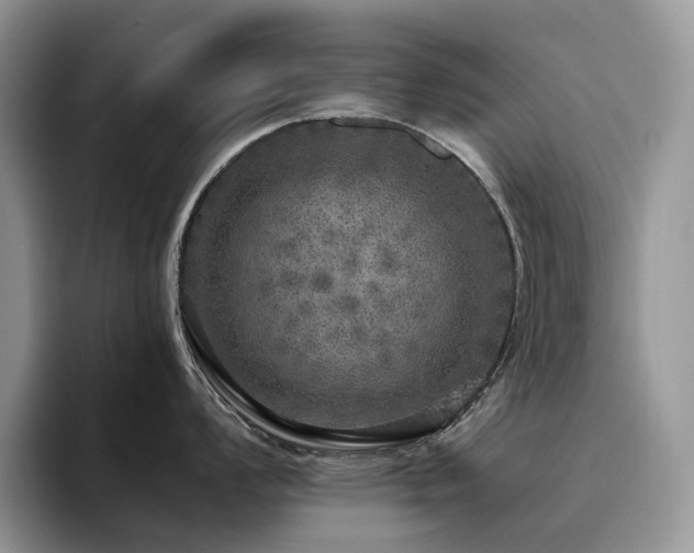 X0000094941008200711291349
