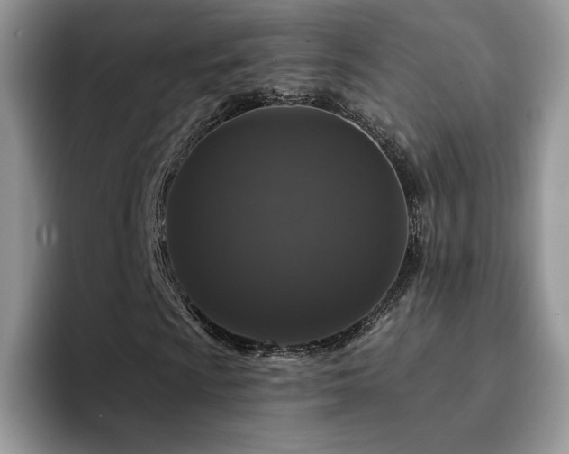 X0000094941009200711291349
