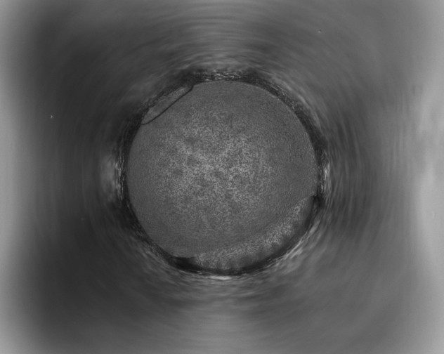 X0000094941010200711291349