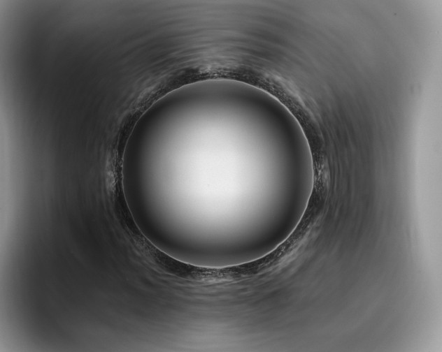 X0000094941012200711291349