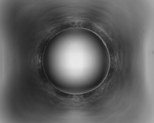 X0000094941013200711291349