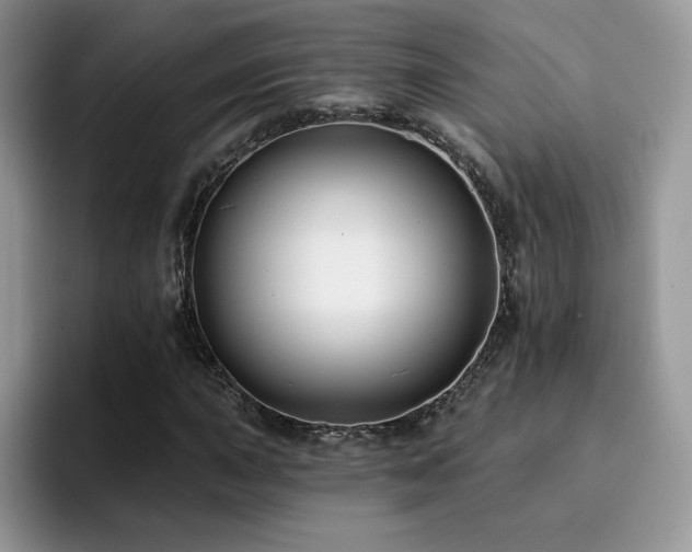 X0000094941015200711291349