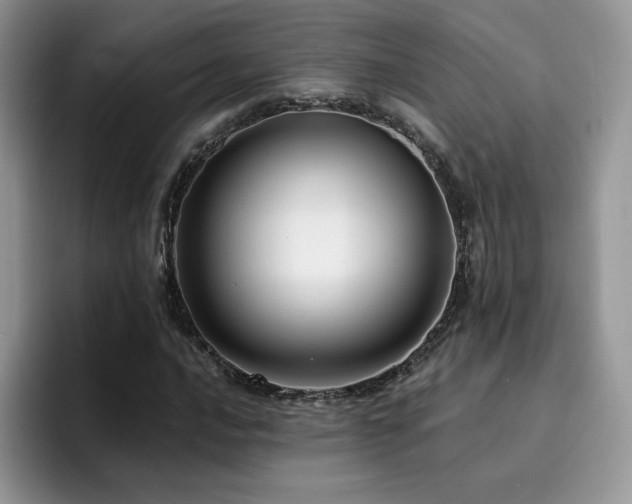 X0000094941016200711291349