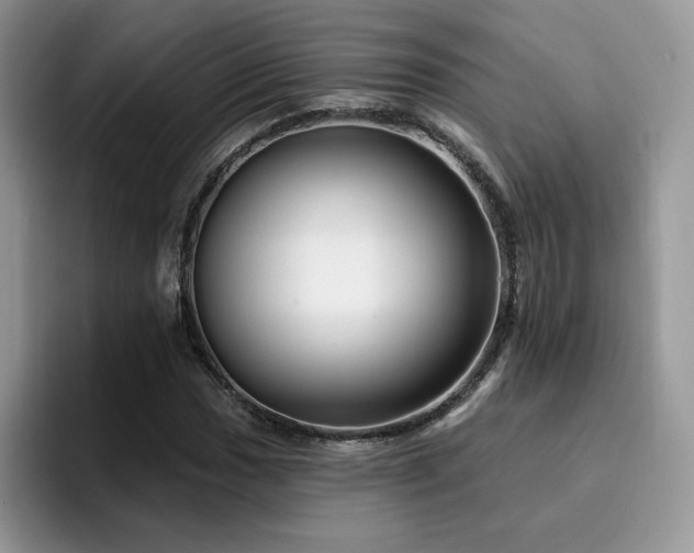 X0000094941017200711291349