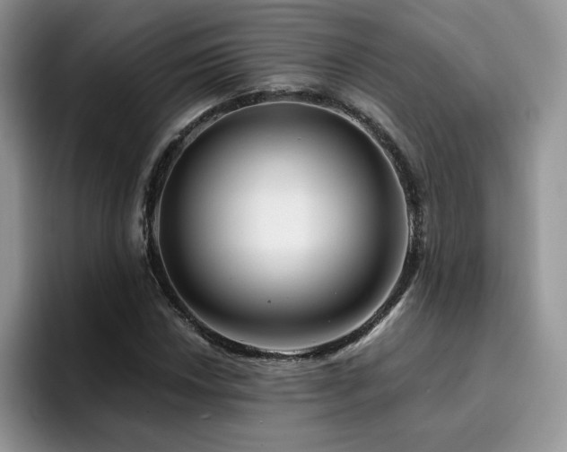 X0000094941018200711291349