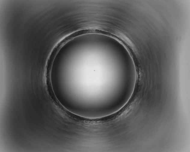 X0000094941020200711291349