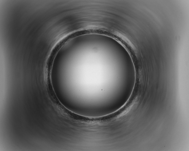 X0000094941021200711291349