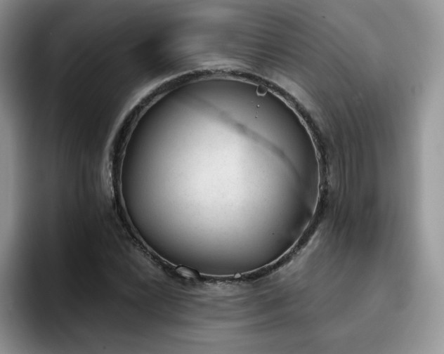 X0000094941022200711291349