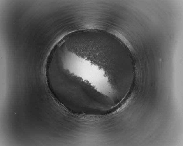 X0000094941023200711291349
