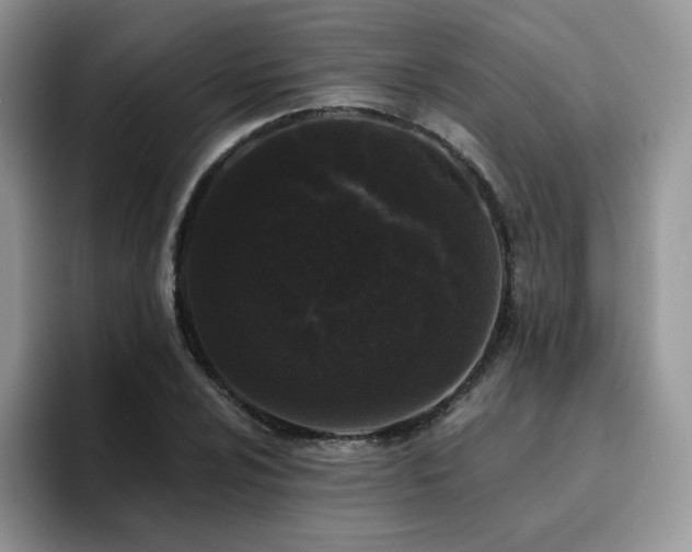 X0000094941024200711291349