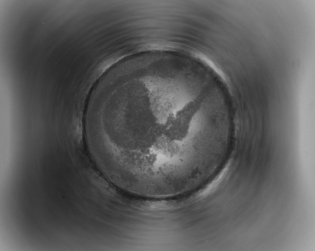 X0000094941025200711291349
