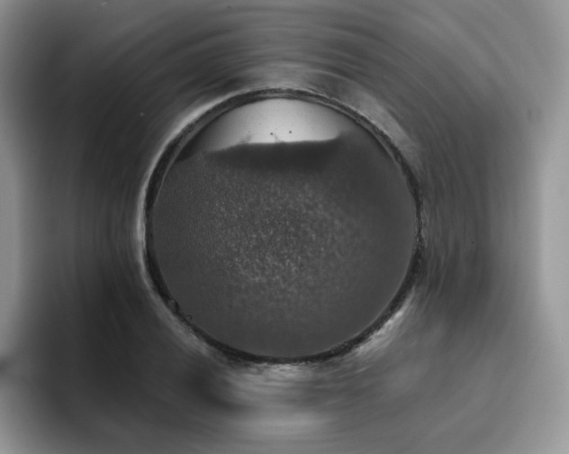 X0000094941028200711291349