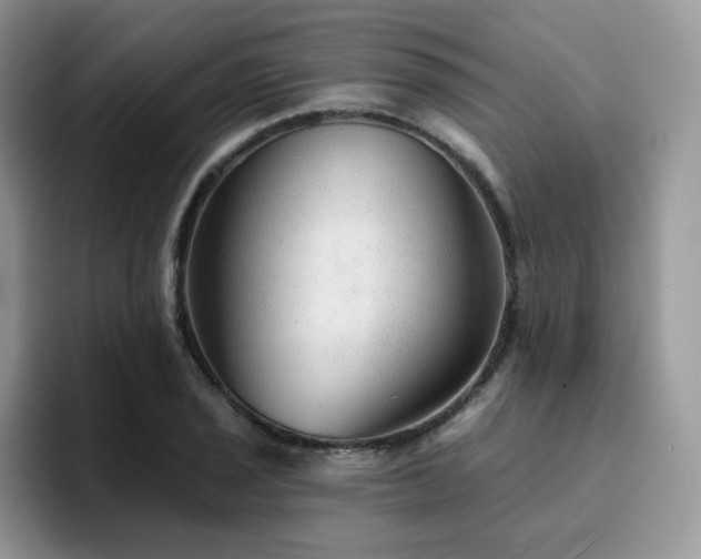 X0000094941029200711291349