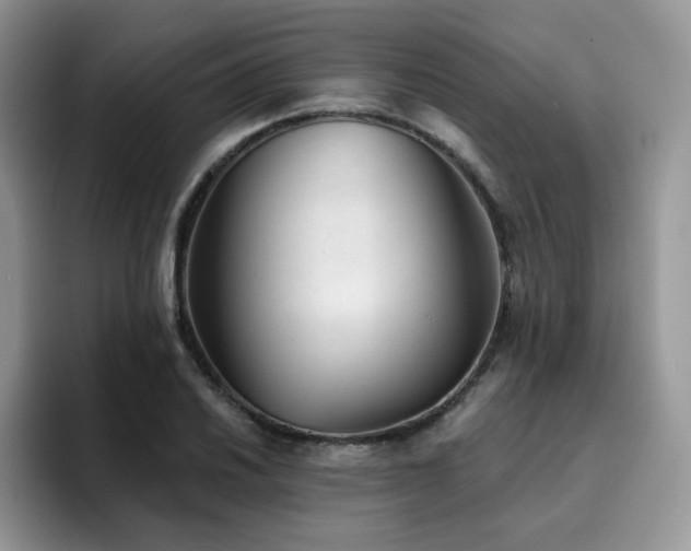 X0000094941030200711291349