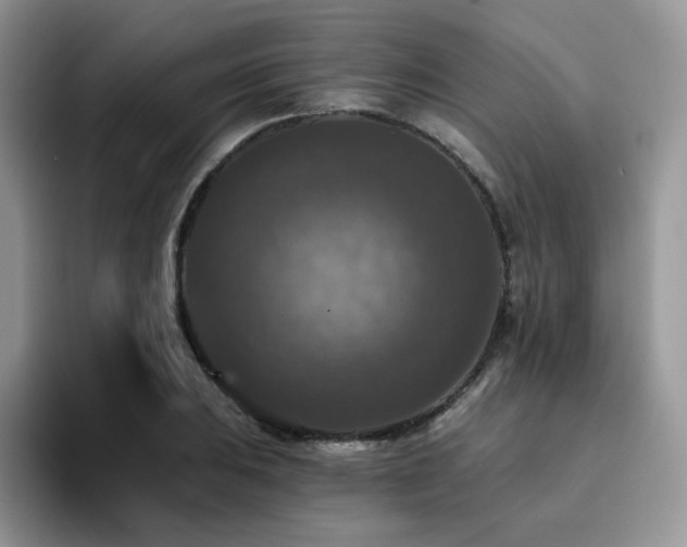 X0000094941031200711291349
