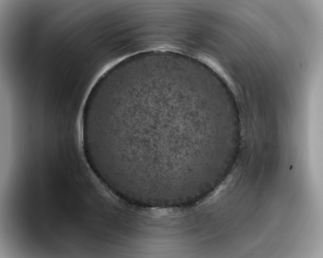 X0000094941032200711291349