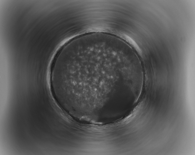 X0000094941035200711291349