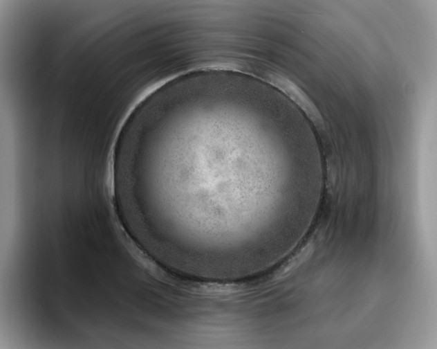 X0000094941036200711291349