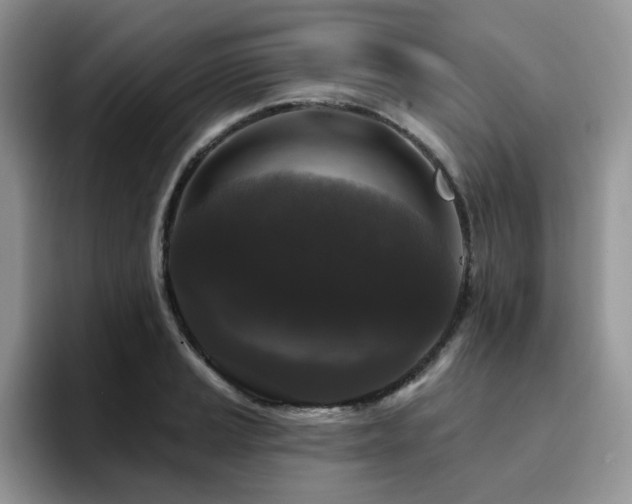 X0000094941037200711291349