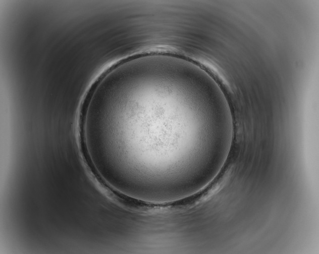 X0000094941038200711291349
