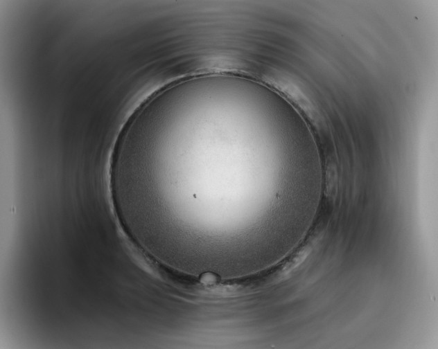 X0000094941039200711291349