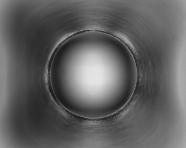 X0000094941040200711291349