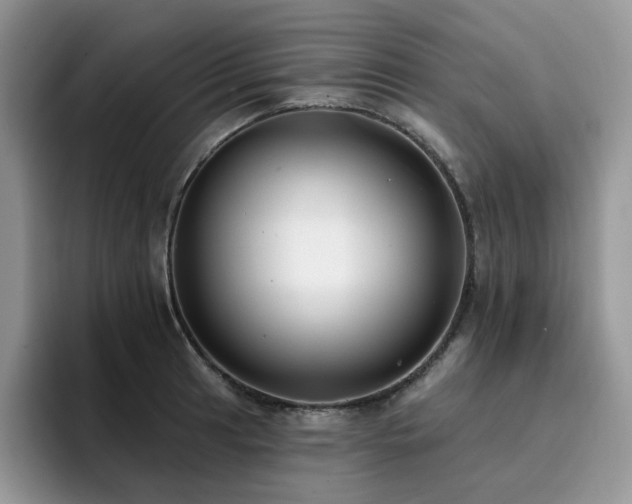 X0000094941041200711291349