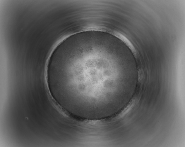 X0000094941043200711291349
