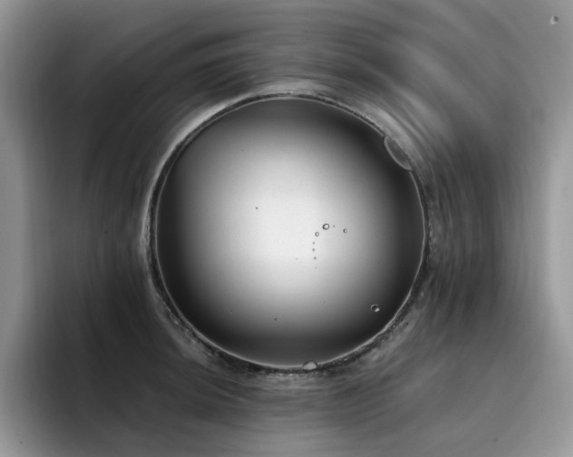 X0000094941044200711291349
