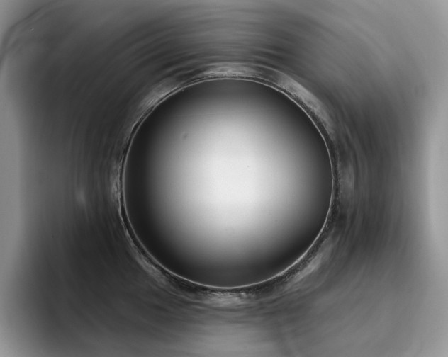 X0000094941049200711291349