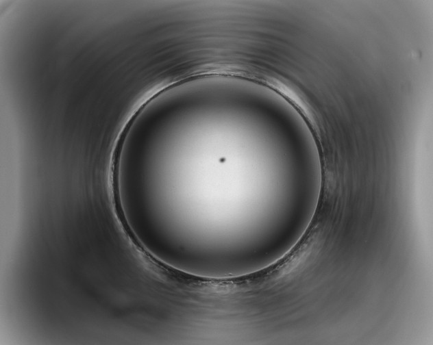 X0000094941050200711291349