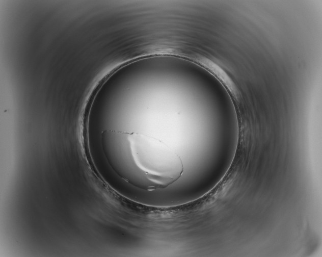 X0000094941051200711291349