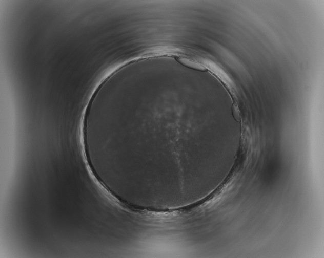 X0000094941055200711291349