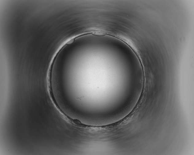 X0000094941056200711291349
