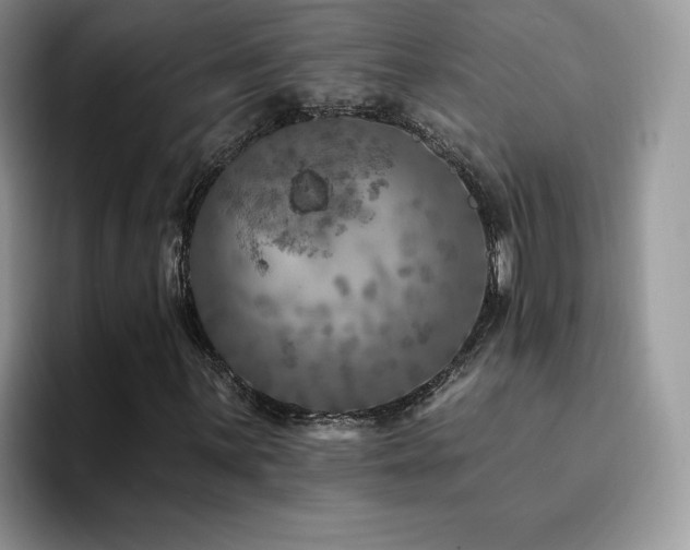 X0000094941059200711291349