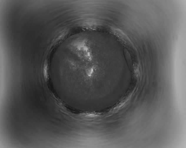 X0000094941060200711291349