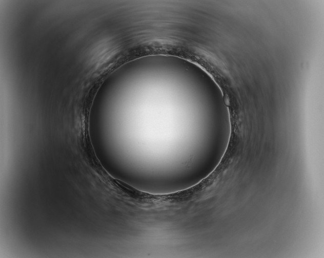 X0000094941061200711291349