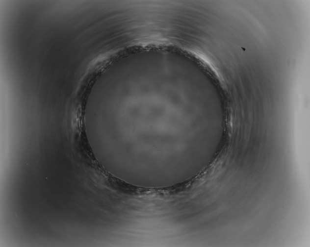 X0000094941063200711291349