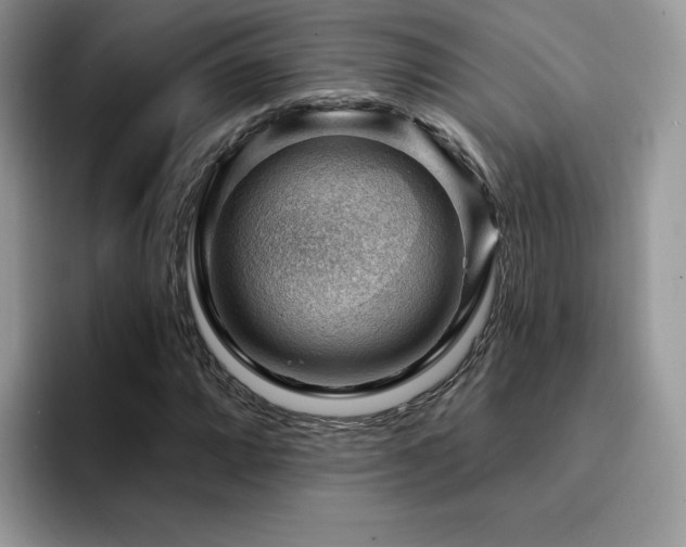 X0000094941064200711291349