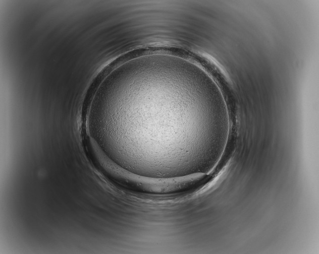 X0000094941065200711291349