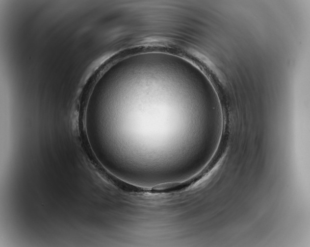 X0000094941066200711291349