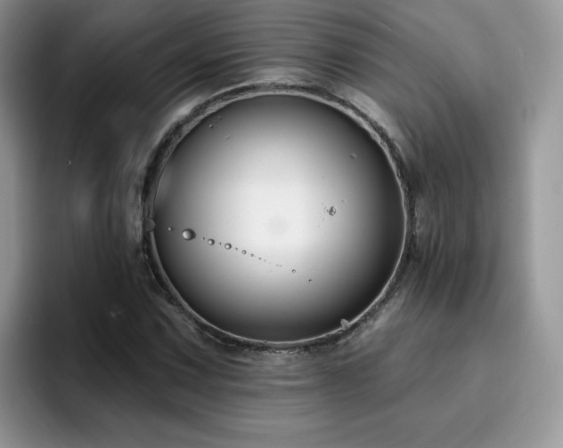 X0000094941067200711291349